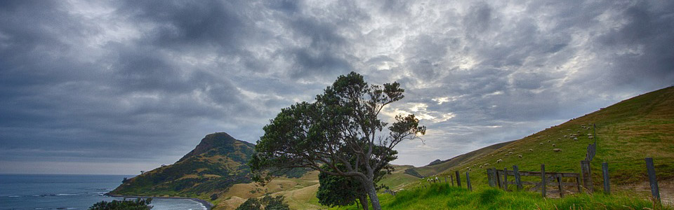 南京專業激光切割機價錢
