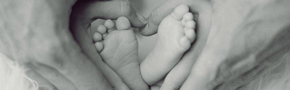 南京金屬光纖91免费观看网站入口價錢