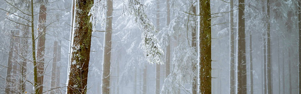 南京專業激光切割機價錢